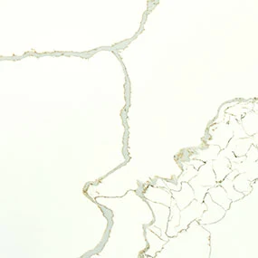 NEW CALACATTA LAZA GOLD